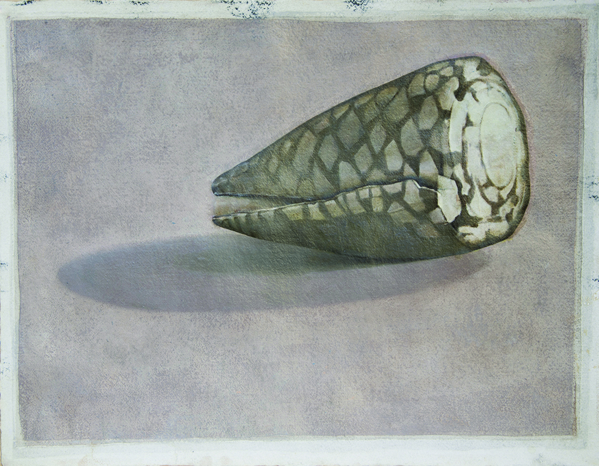 CONCHIGLIA REMOTA 2016 51x66cm olio su carta a mano